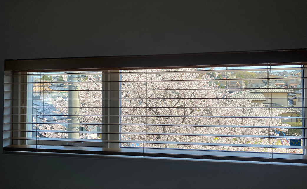 春に川沿いの桜の景色が見える、借景のための窓
