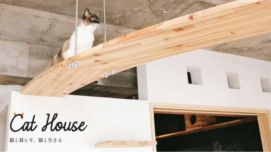 猫と住まいの例
