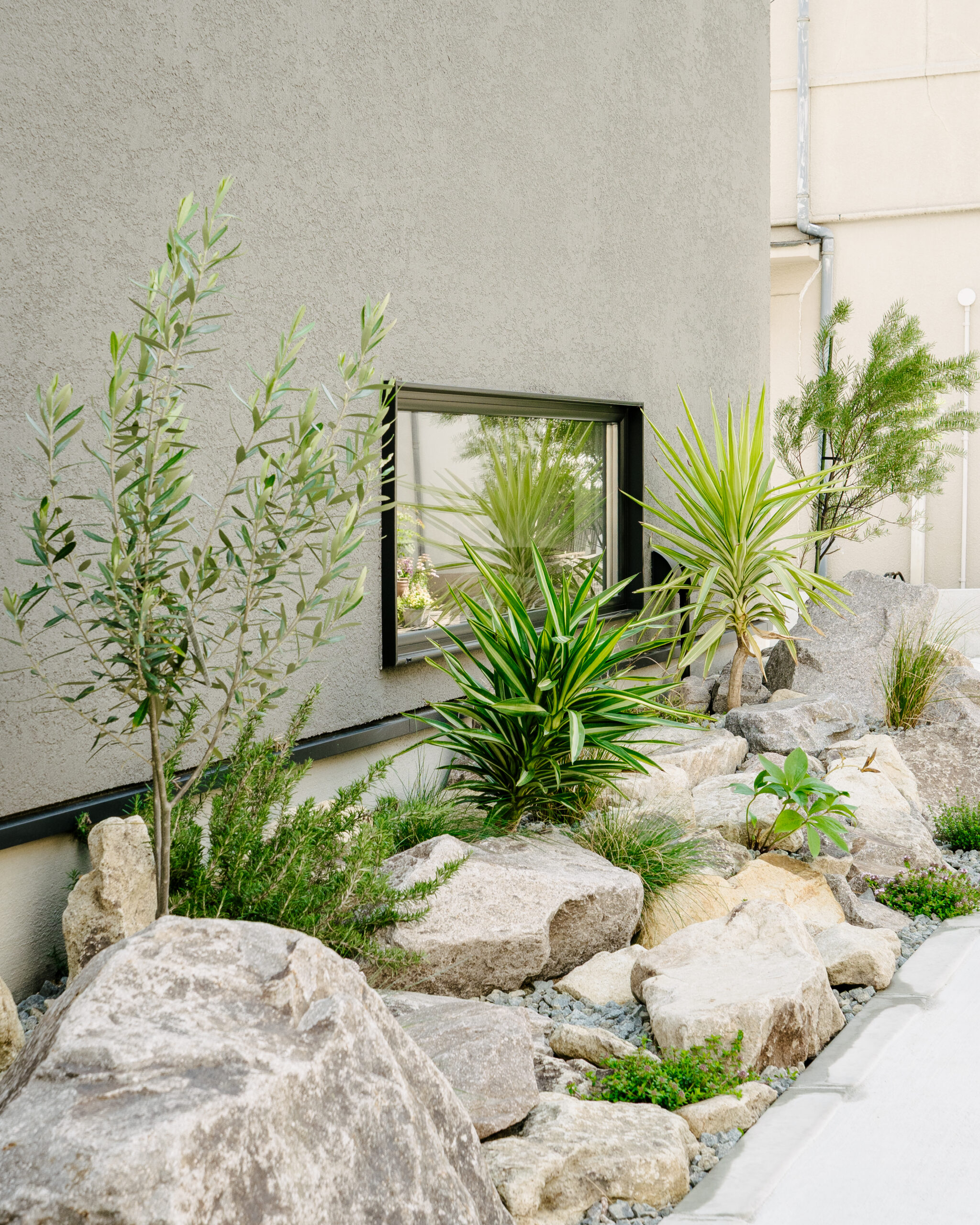 人と猫と植物が共存する家　/　四条畷市楠公