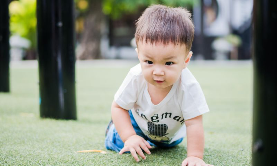 子どもが楽しく安全に遊べる庭をつくるためにできること