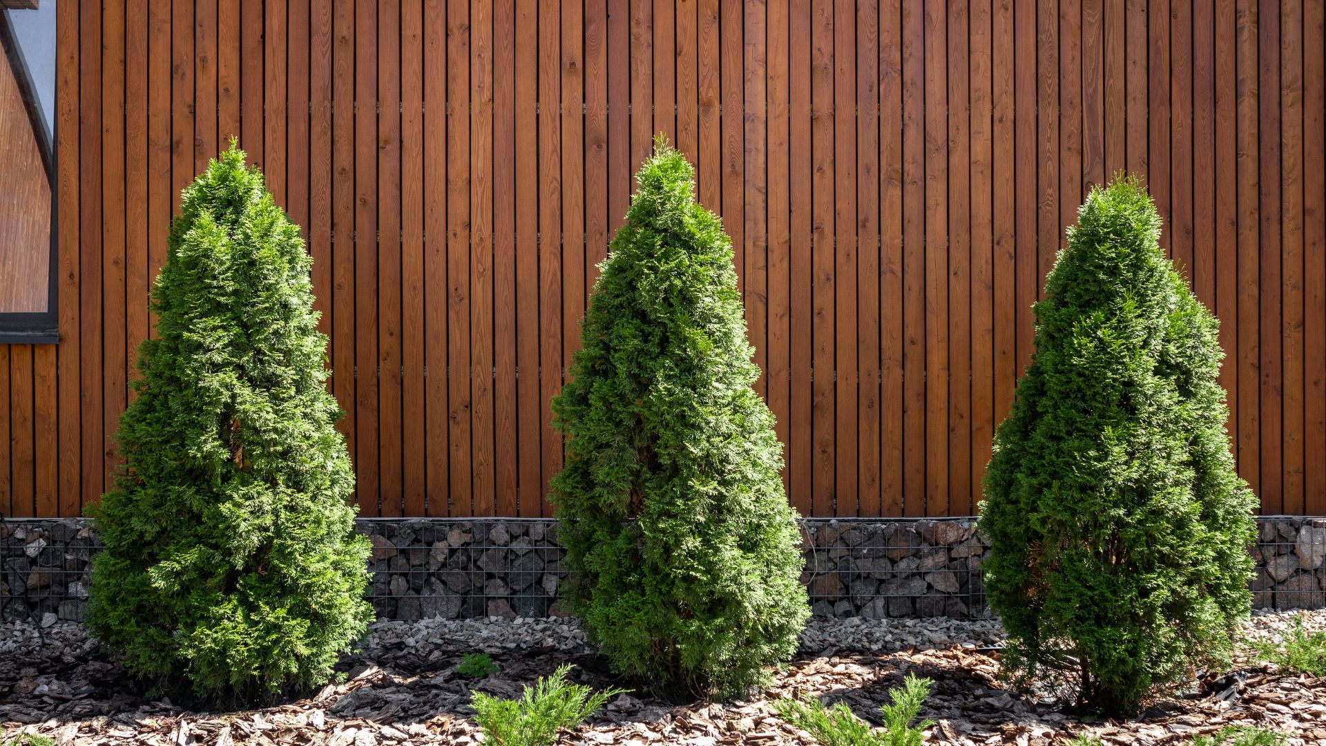 虫よけ効果のある庭木とは？おすすめ庭木と植栽のコツを解説