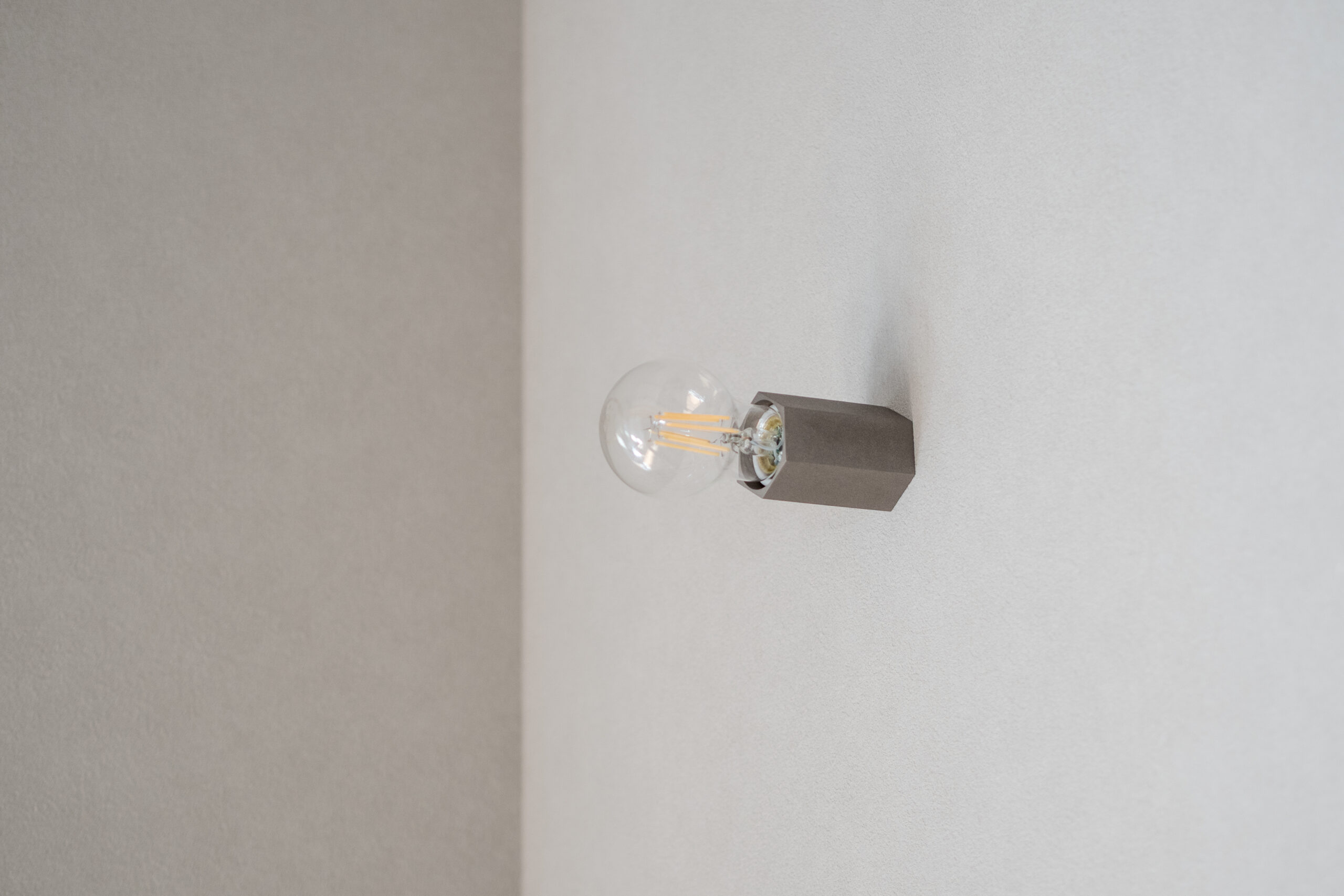 梁のみえる勾配天井の家 / 交野市私部西