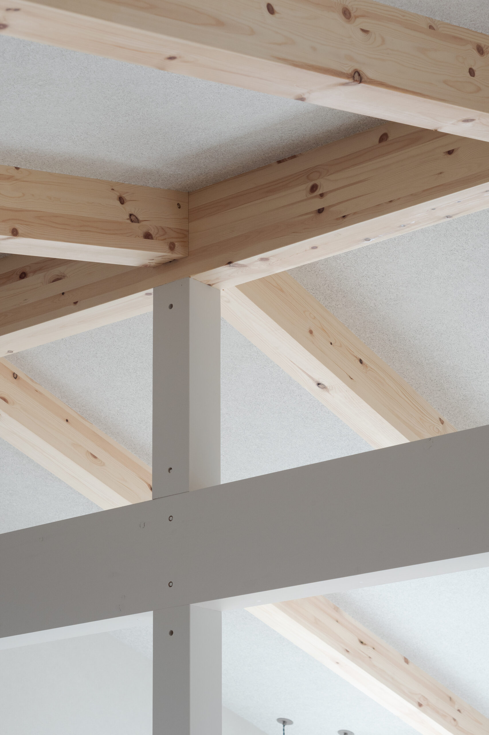 梁のみえる勾配天井の家 / 交野市私部西